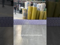 10 mm Twinwall UV Bloqueado invernadero Transparente de policarbonato hoja de panal de miel