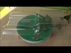 Los azulejos de las claraboyas de PET