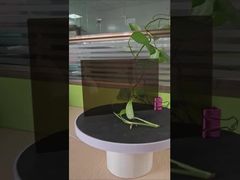 Lámina de policarbonato sólido marrón de 3 mm, anti impacto, protección UV en una cara