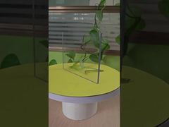 Lámina sólida transparente de 6 mm