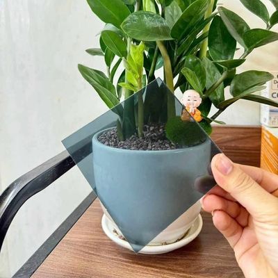 Un buen precio. Hoja sólida de policarbonato gris resistente a los rayos UV de 1,0 mm a 18,0 mm de espesor en línea