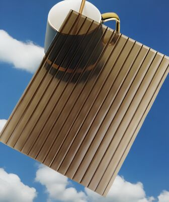 Un buen precio. Película protectora de PE cubierta en ambos lados de la lámina hueca de policarbonato, panel de pared doble, ligero, duradero y resistente al impacto en línea